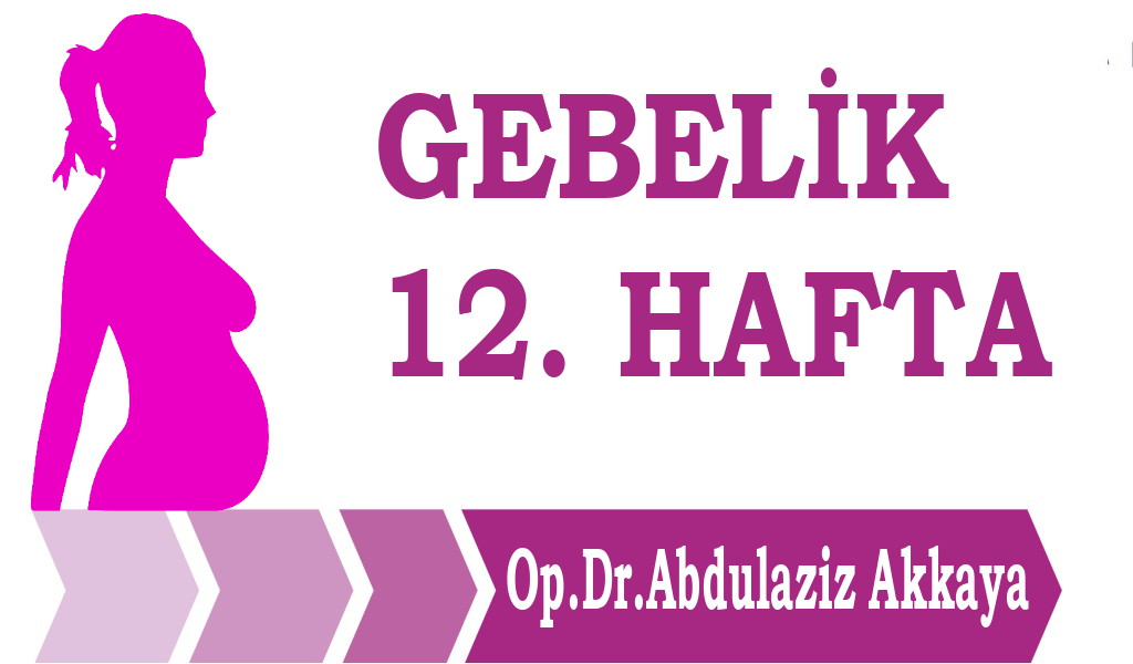 antalya gebelik