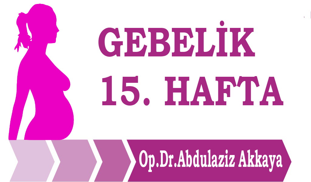antalya gebelik
