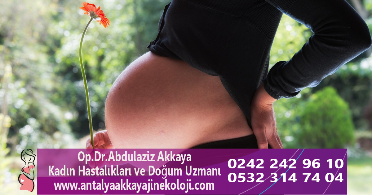 Nonstres testi