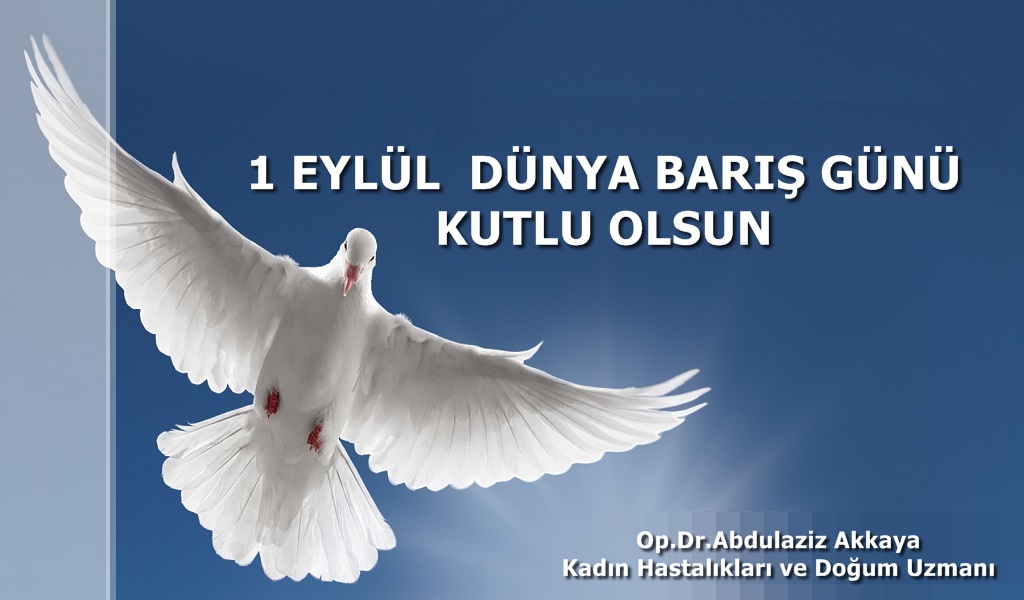 dünya barış günü