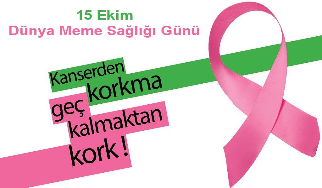 Meme Sağlığı
