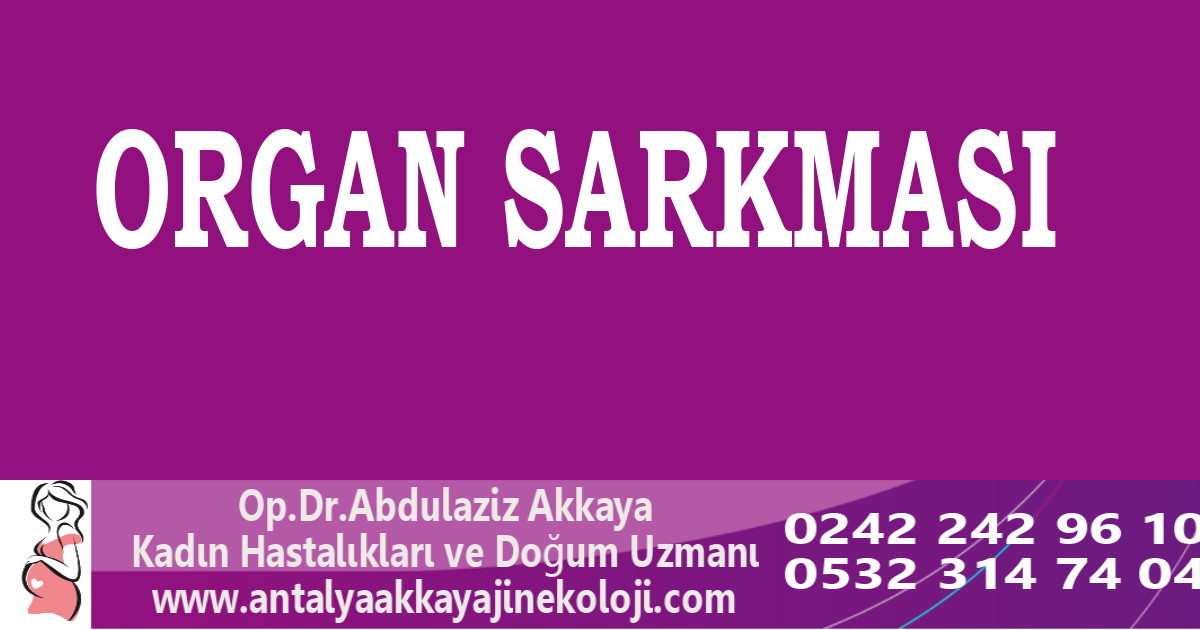 Organ Sarkması Videosu