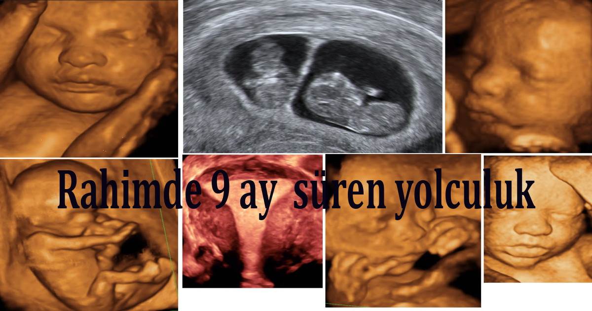 rahimde 9 ay süren yolculuk