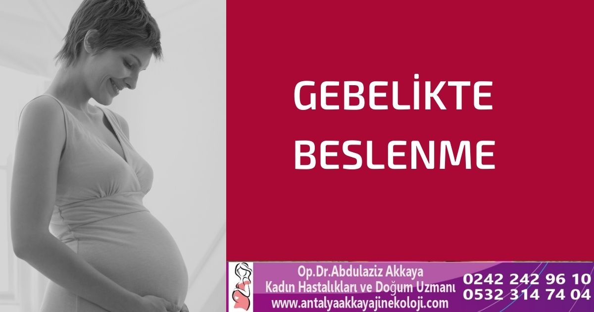 Gebelikte Beslenme